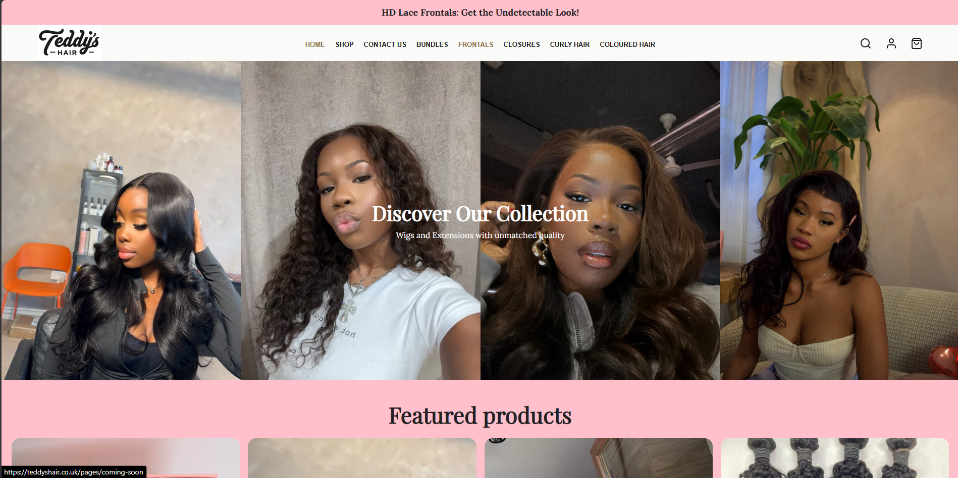 Teddy's Hair website